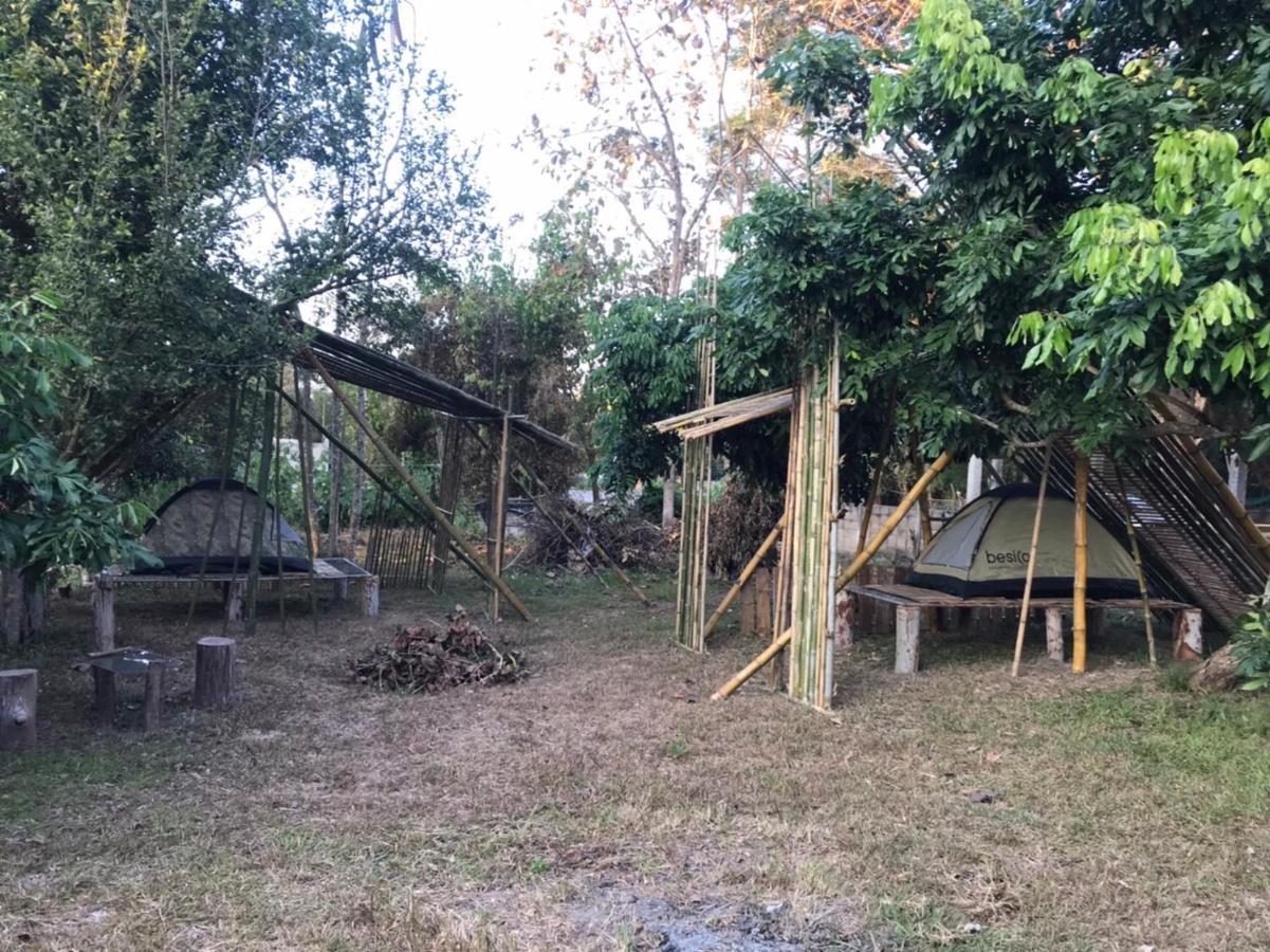 Amando_Tent Hotel Phajau Kültér fotó