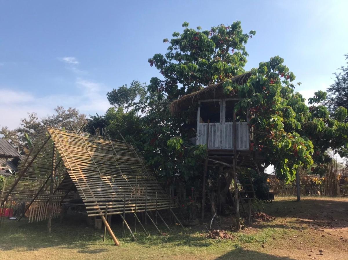Amando_Tent Hotel Phajau Kültér fotó