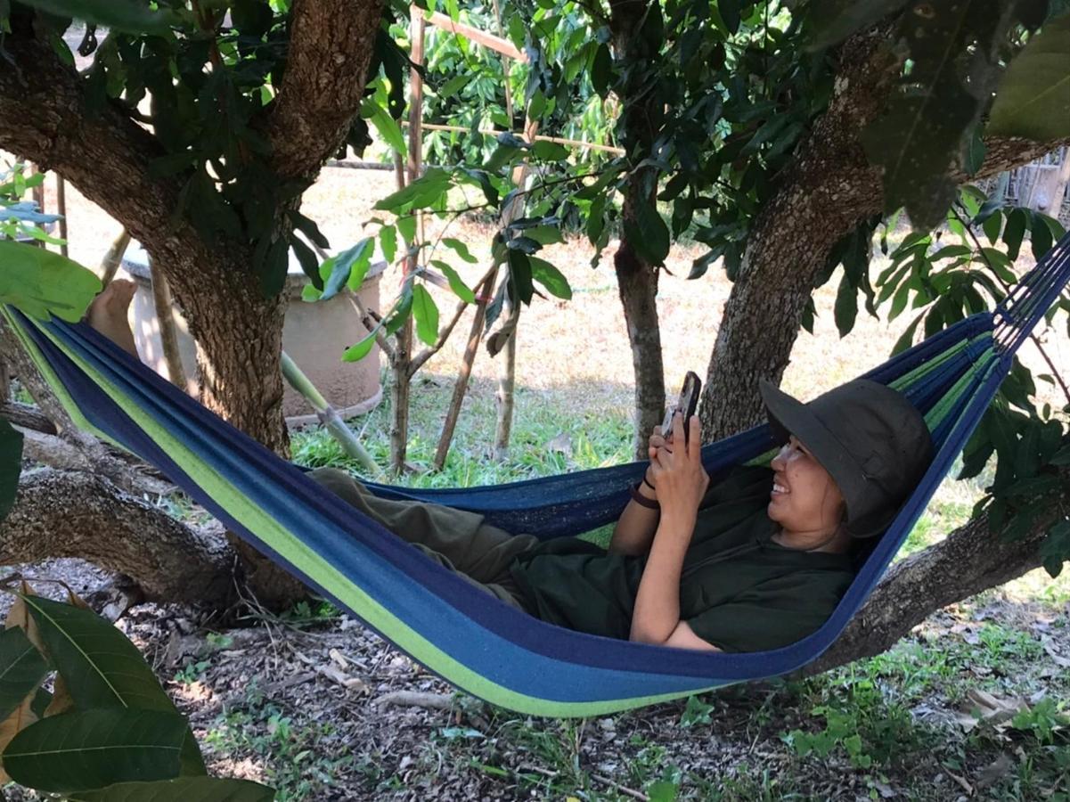 Amando_Tent Hotel Phajau Kültér fotó